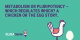 Metabolism or pluripotency – which regulates which? A chicken or the egg story.