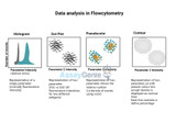 Data Analysis in Flow Cytometry: Harnessing Complexity for Scientific Insight