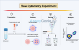 Navigating the Intricacies of Intracellular Flow Cytometry: Key Considerations