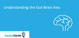 Understanding the Gut-Brain Axis