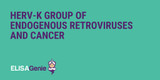 HERV-K group of endogenous retroviruses and cancer