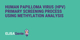 Human Papilloma Virus (HPV) Methylation Analysis