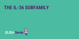 The IL-36 Subfamily | Expression, Function & Regulation