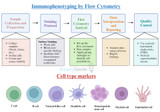 Immunophenotyping by Flow Cytometry and Cell Type Markers