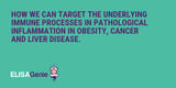 How we can target the underlying immune processes in pathological inflammation in obesity, cancer and liver disease.