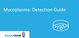 Mycoplasma in Cell Culture Detection Guide