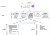 An Insight Into Necrosis- Causative Effects And Methods Of Prevention