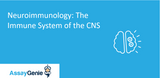 Neuroimmunology: The Immune System of the CNS