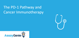 The PD-1 Pathway and Cancer Immunotherapy