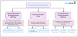 Protein Kinases: Overview, Classification and Therapeutic Potential