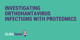 Investigating orthohantavirus infections with proteomics