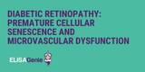 Diabetic Retinopathy: premature cellular senescence and microvascular dysfunction