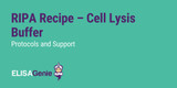 RIPA Buffer Recipe - Cell Lysis | Assay Genie