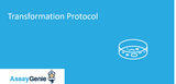 Transformation Protocol – Sample Transformation Protocols