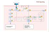 Adipokines and Insulin Signaling Pathways: An In-Depth Exploration