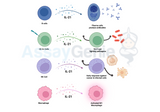 The Intricacies of IL-21 Signaling: Impact on Diverse Immune Cell Types