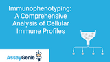 Immunophenotyping: A Comprehensive Analysis of Cellular Immune Profiles