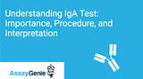 Understanding IgA Test: Importance, Procedure, and Interpretation