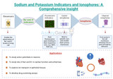 Sodium and Potassium Indicators and Ionophores: A Comprehensive Insight