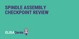 Spindle Assembly Checkpoint review