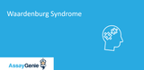 Waardenburg Syndrome and Klein-Waardenburg Syndrome