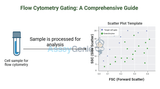 Flow Cytometry Gating: A Comprehensive Guide