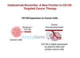 Indatuximab: Advancing CD138-Targeted Therapy in Cancer Research