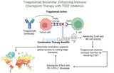 Tiragolumab: Unlocking New Horizons in Cancer Immunotherapy
