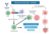 Ivuxolimab: Redefining Cancer Immunotherapy and Research