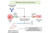 Ramucirumab: Mechanism, Clinical Applications, and Biosimilars in Cancer Research