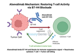 Alsevalimab: Targeting CD47 for Cancer Research and Treatment
