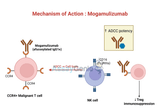 Mogamulizumab: Understanding Its Mechanism, Clinical Applications, and the Role of Biosimilars in Research