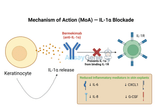 Bermekimab: Unveiling the Role of Anti-CD47 in Hidradenitis Suppurativa and Atopic Dermatitis