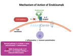 Enokizumab: Exploring Its Mechanism, Clinical Applications, and Biosimilar Advancements