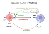 Uliledlimab: Unveiling the Role of Anti-CD47 in Cancer Research