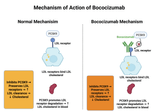 Bococizumab: Mechanism, Clinical Applications, and Biosimilars in Research