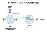 Tisotumab Vedotin: A Breakthrough in Targeted Cancer Therapy