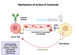 Carlumab: Exploring Its Mechanism, Clinical Potential, and Research Biosimilars