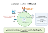 Eldelumab: Unlocking the Potential of Anti-TNFSF14 in Inflammatory Diseases