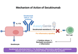 Secukinumab: A Comprehensive Guide to Its Mechanism, Applications, and Biosimilar Advancements