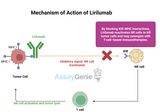 Lirilumab: Unlocking the Potential of Anti-KIR Therapy in Cancer Research