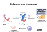 Aducanumab: Mechanism, Clinical Applications, and the Role of Biosimilars in Research