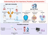IgA Testing: Complete Diagnostic Guide + Interpretation Methods | Expert Protocols