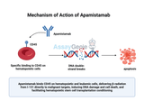 Apamistamab: Advancing Leukemia Treatment through Targeted Radioimmunotherapy