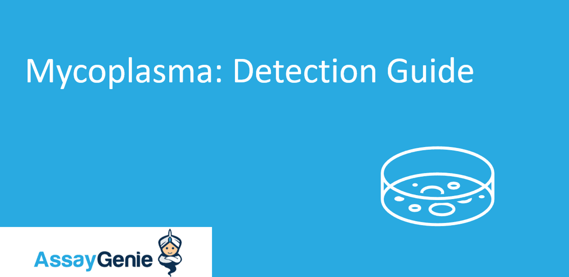 Mycoplasma in Cell Culture Detection Guide Assay Genie