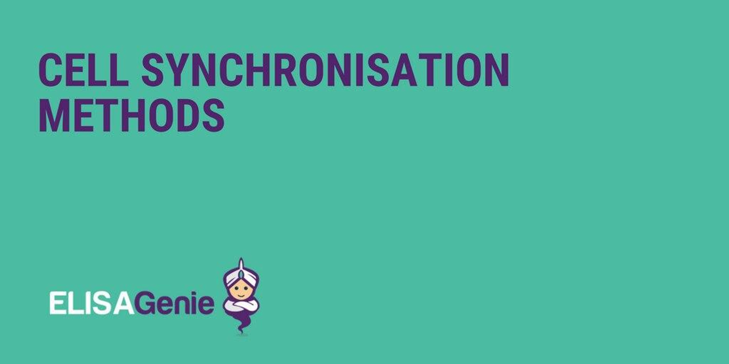 Cell Synchronisation Methods Assay Genie