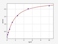 Human Immunology ELISA Kits 24