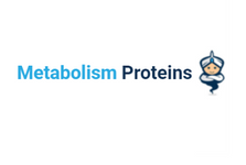 Metabolism Recombinant Proteins