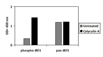 Human Phospho-IRF-3 S386 and Total IRF-3 PharmaGenie ELISA Kit SBRS1864