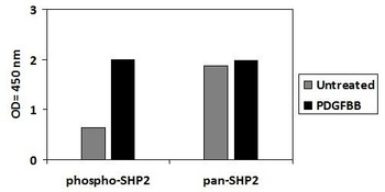 Human/Mouse/Rat Phospho-SHP2 Y542 and Total SHP2 PharmaGenie ELISA Kit SBRS1967